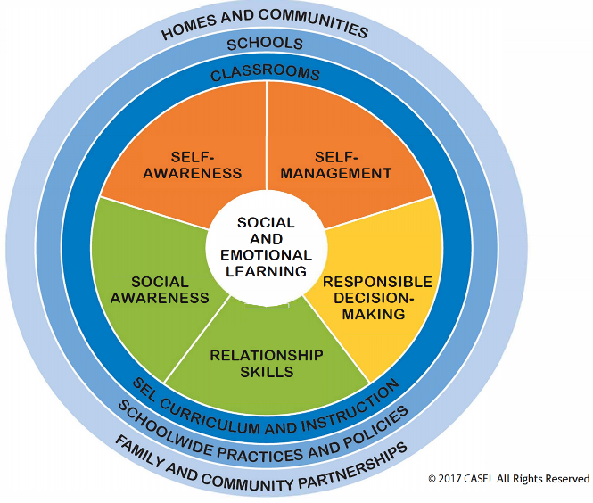 social emotional competency wheel