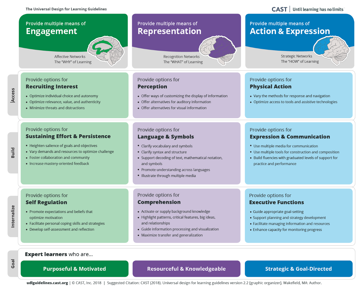 Infographic of universal design for learning guidlines