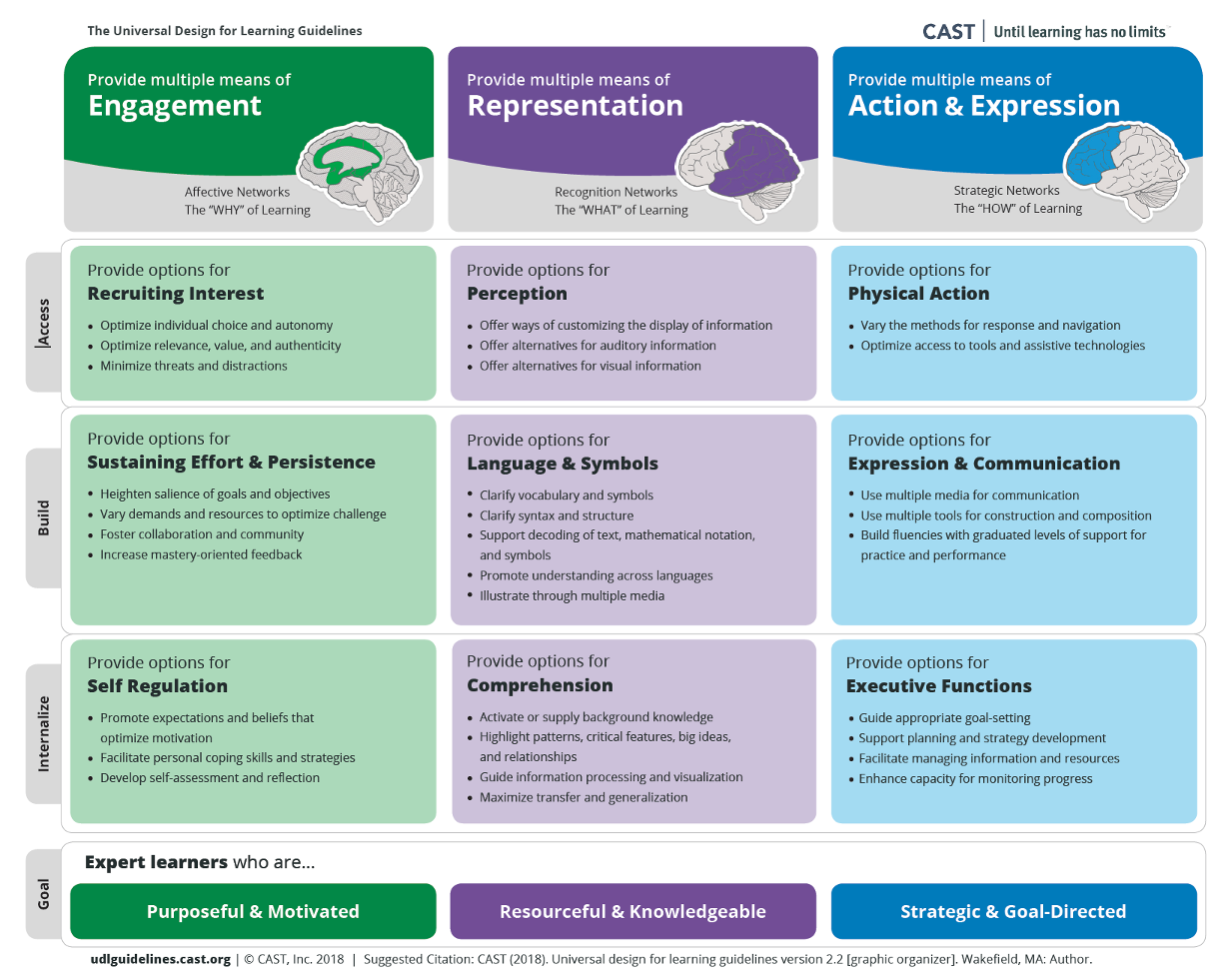 Udlg Graphic Organizer 